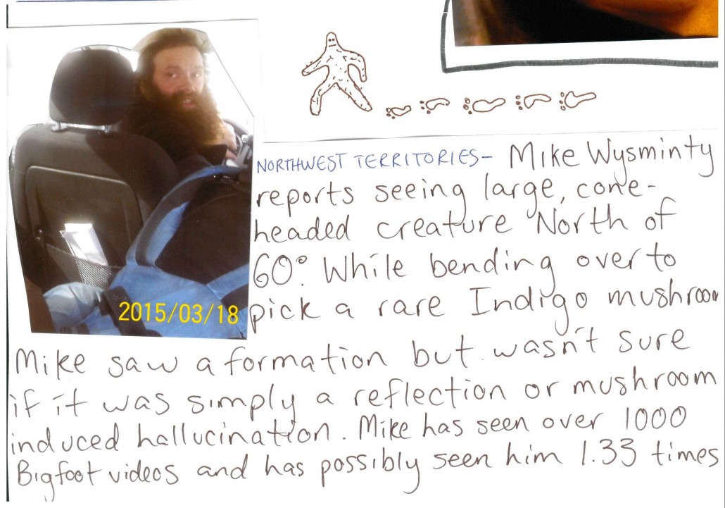 Carmichael Free Press-page-001