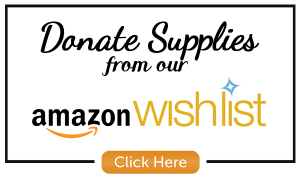 Amazon-wishlist